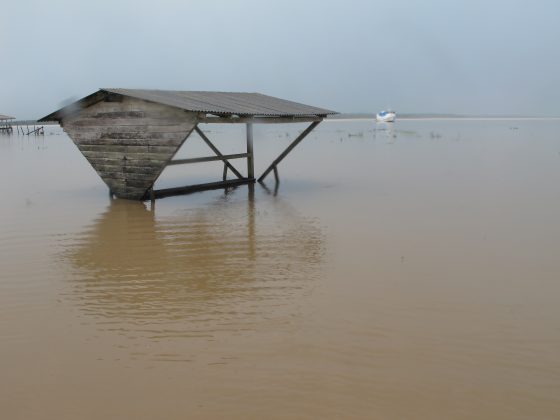Imagens do Araguari, Pororoca do Rio Araguari (AP). Foto: Skeet.