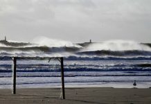 Disputa movimenta Laguna