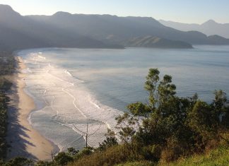 Surfistas escalados em Maresias