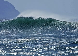 Conservação marinha em pauta