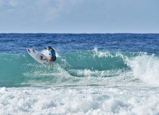 Trio espanta a preguiça