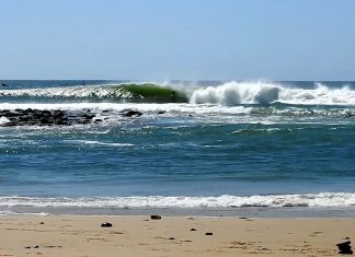 Entocado em Senegal