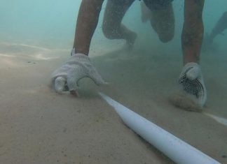 Surfistas encontram pedaço