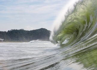 Outono tubular em Itajaí