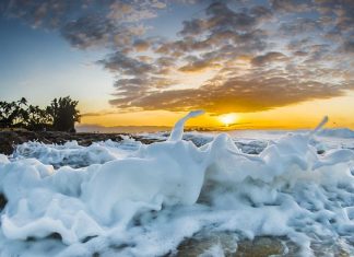 Surfrider faz campanha