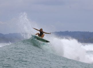 Evolução em Mentawai