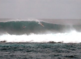 Outer reef no braço