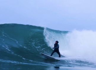 Talento de Tofino