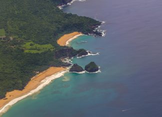 Noronha zera casos