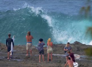 Snapper on the rocks