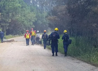 Incêndio atinge Floripa