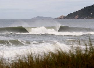 Swell esfria a cabeça