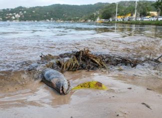 Zona morta em Floripa