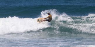 Pro x surfista normal