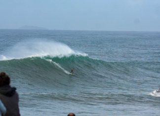 Joaquina para maiores