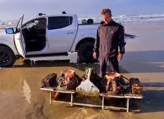 Surfista resgata sismógrafo