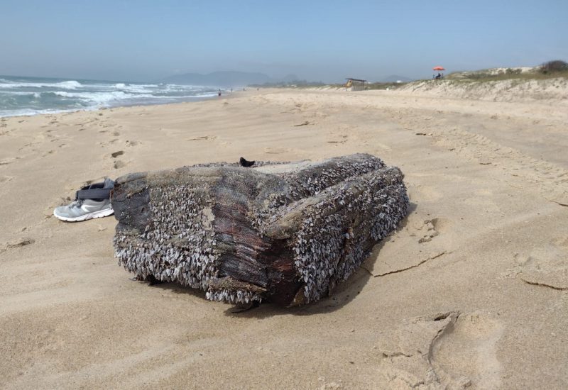 Látex de navio nazista é achado na Praia do Campeche