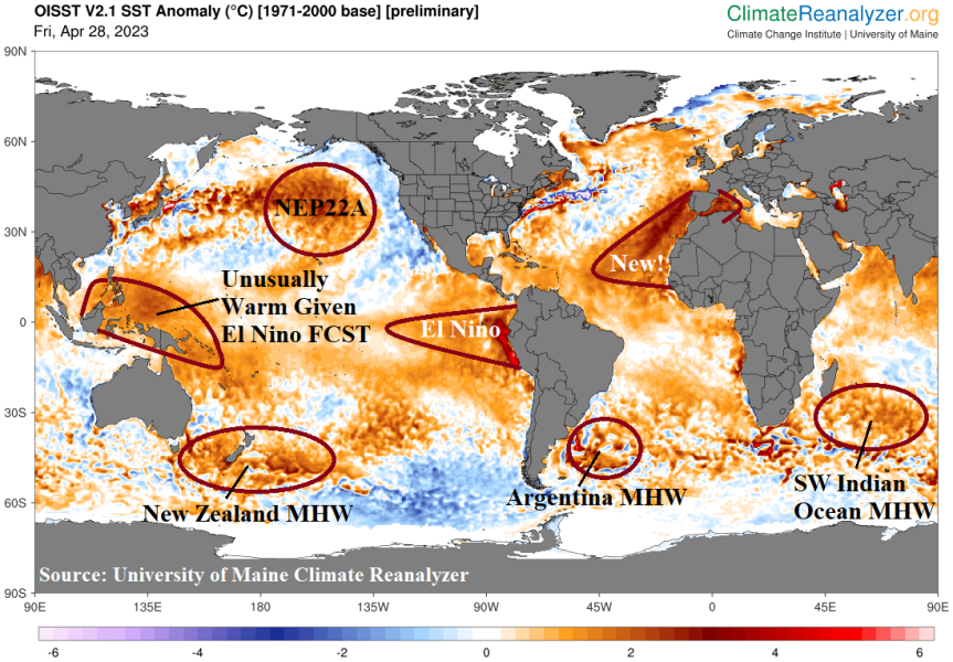 Ondas de Calor Marinhas (MHWs) tornaram-se semipermanentes na Nova Zelândia e no leste da Argentina.