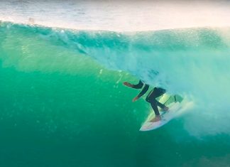 Koa, Dingo, Parko e Fanning