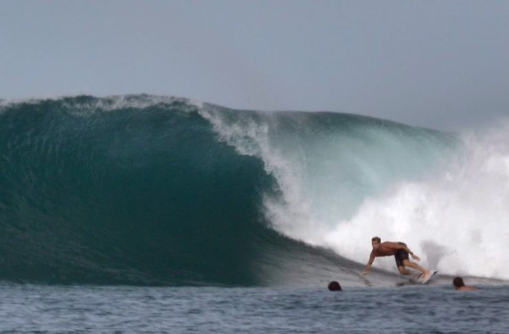 Mick Fanning