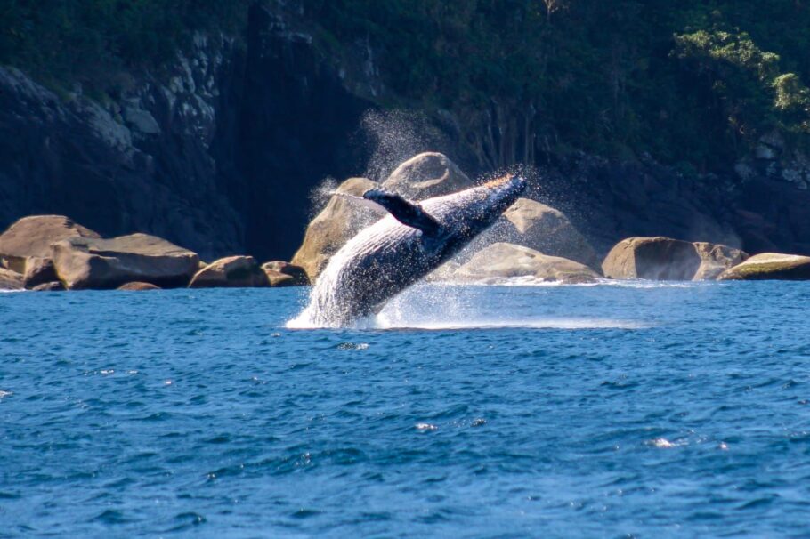 Ilhabela (SP).