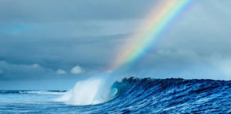 Reencontro olímpico em Cloudbreak