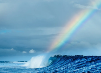 Reencontro olímpico em Cloudbreak