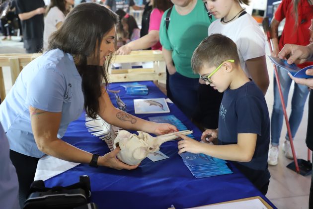 SP Ocean Week, São Paulo (SP). Foto: Divulgação.