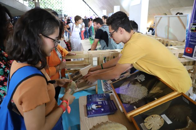 SP Ocean Week, São Paulo (SP). Foto: Divulgação.