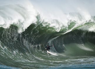 Nathan Florence encara Shock