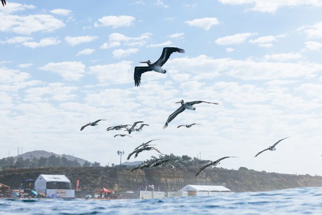 WSL Finals 2024, WSL Finals 2024, Trestles, Califórnia (EUA). Foto: WSL / Pat Nolan.