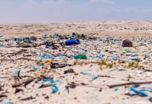 Praia de Floripa é a mais poluída