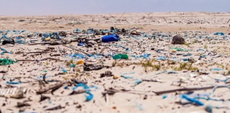 Praia de Floripa é a mais poluída