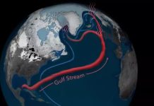 Colapso ameaça estabilidade climática