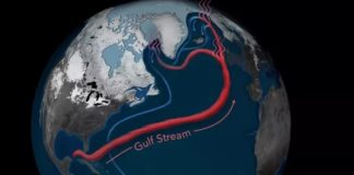 Colapso ameaça estabilidade climática