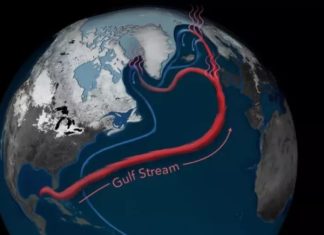 Colapso ameaça estabilidade climática