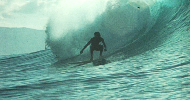 The Surf Film Archive - Noosa 2024.