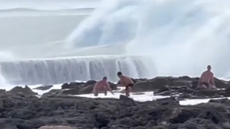 Sharks Cove, North Shore, Havaí