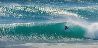 Rasta, Slater e Parkinson