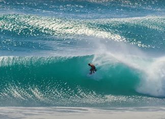 Rasta, Slater e Parkinson