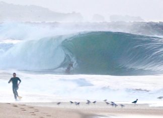 The Wedge em ação de graças