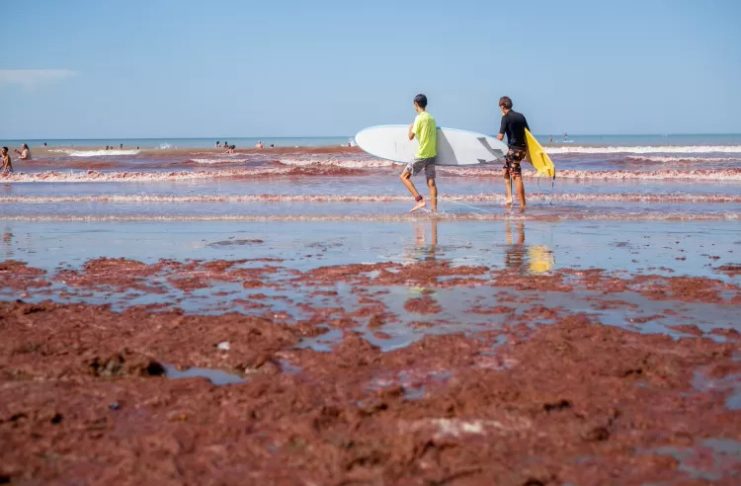 Mar del Plata, Argentina