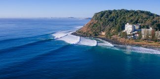 Sai Snapper e entra Burleigh