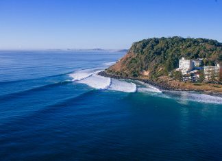Sai Snapper e entra Burleigh