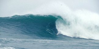 Carlos Burle pode faturar o XXL Big Surf