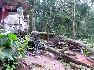 Maresias sofre com descaso das autoridades