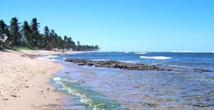 Buia orienta galera na Bahia