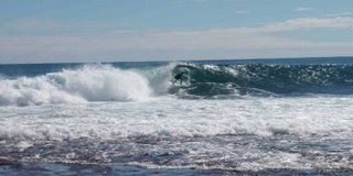 Pato vai ao deserto das ondas