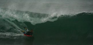 Feras partem para o Chile