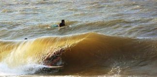 Surfistas de água doce